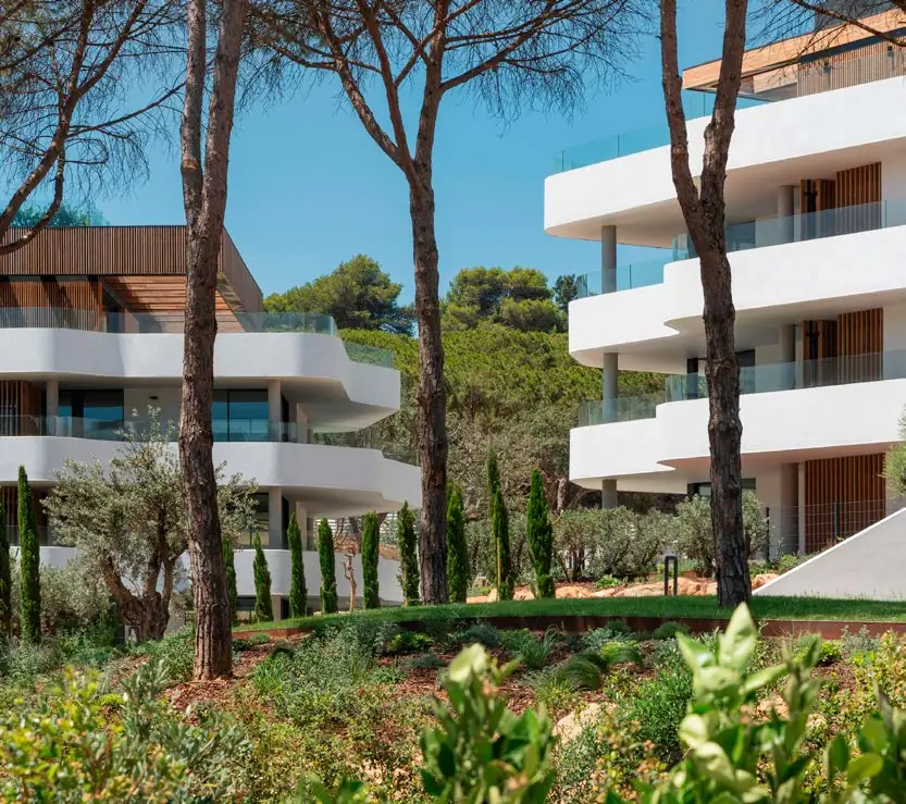 White residential buildings with landscaped terraces among pine trees and Mediterranean planting