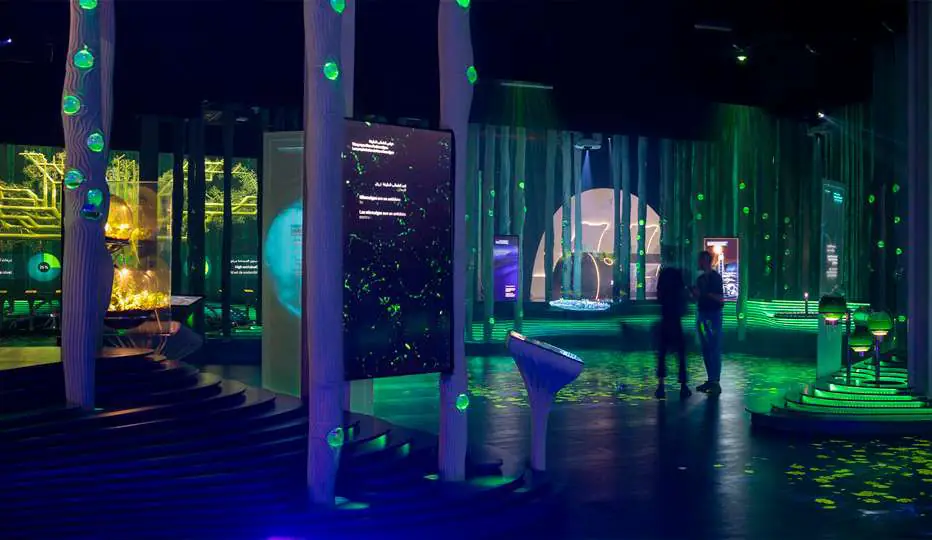 Instalación El Bosque de la Inteligencia: troncos artificiales iluminados en verde en un espacio oscuro