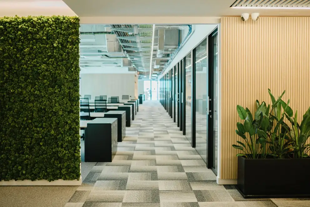 Work area with a vertical moss garden, office desks and a wall clad in pale slats.