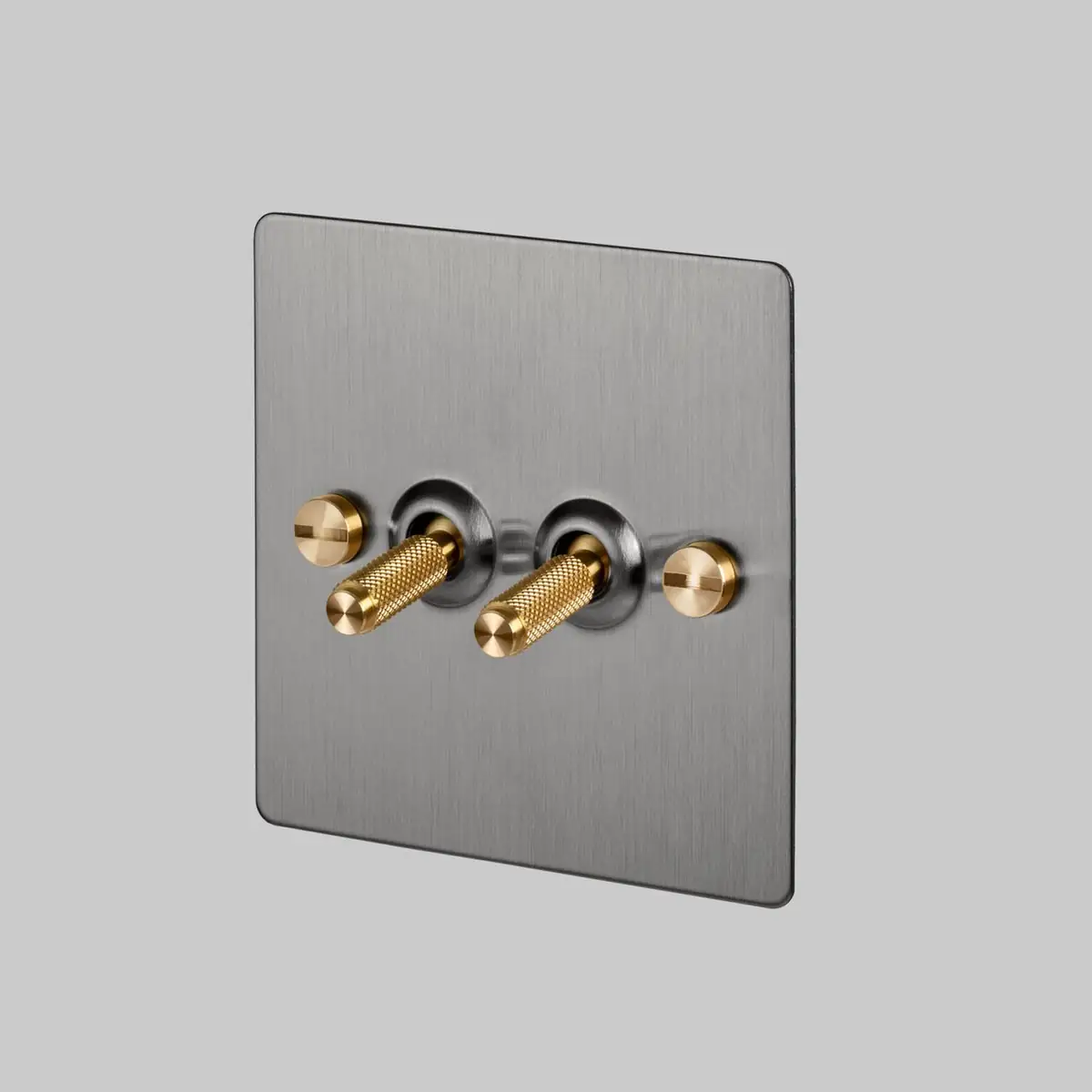Steel plate with two knurled brass toggle switches