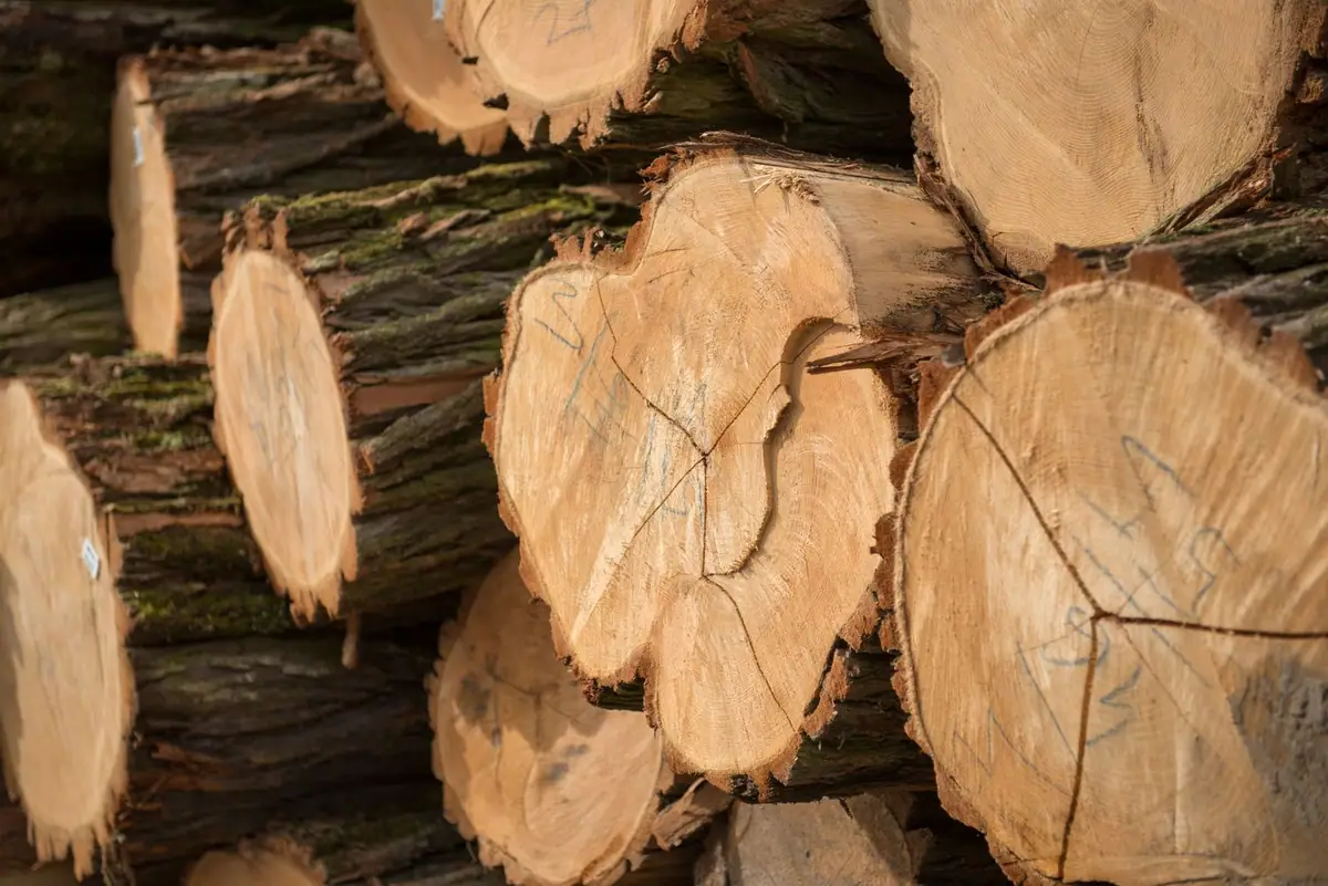 Stacked logs with hand-marked end grain.