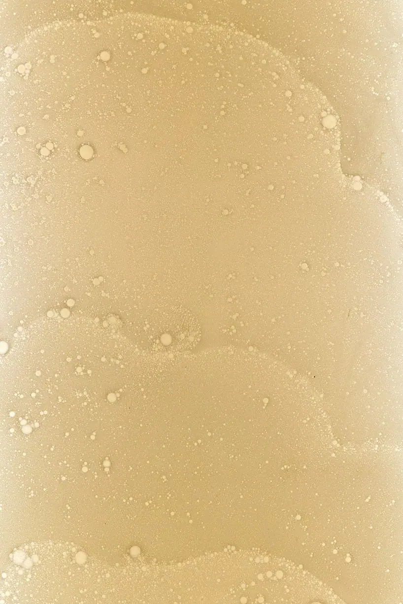 Cream-coloured foam surface with bubbles and organic relief