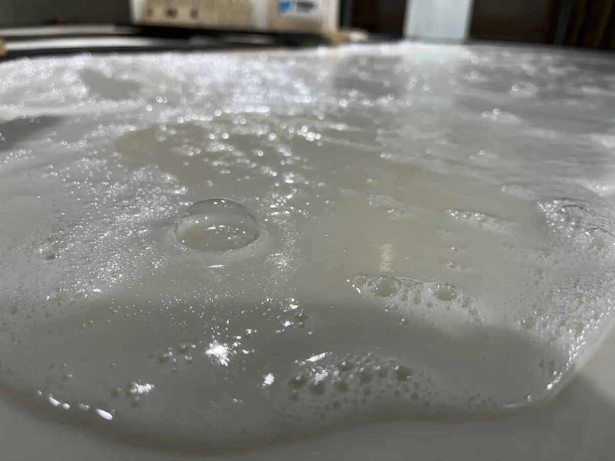Close-up of a glossy white foam with bubbles
