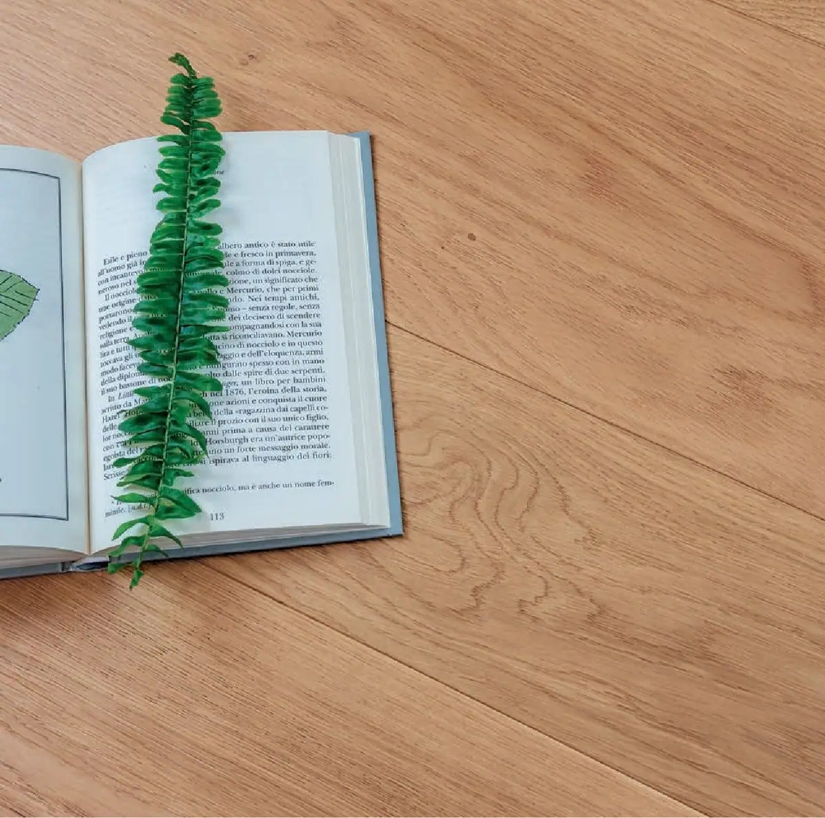Libro abierto con una hoja de helecho sobre un pavimento de tablas de madera en tono miel.