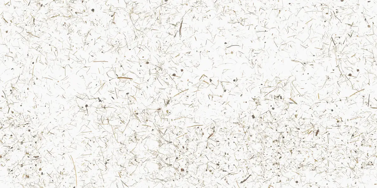 White surface with fine, scattered hay fibres