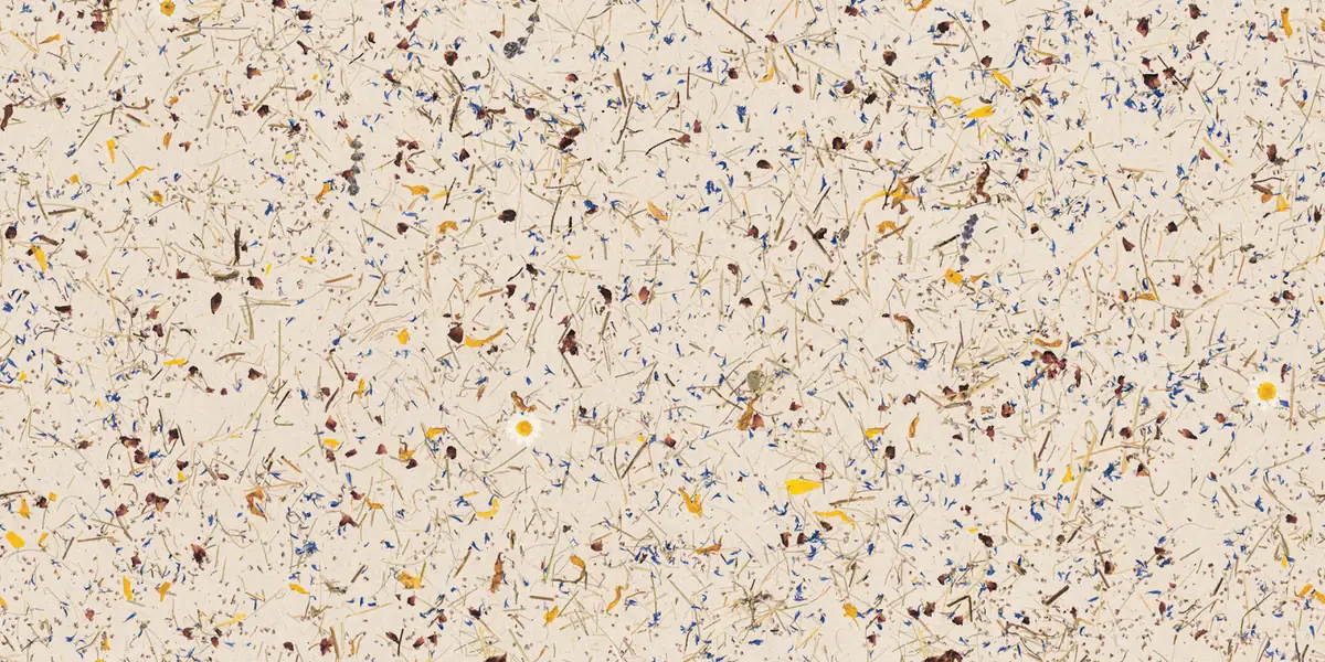 Light surface with hay, blue cornflower petals, yellow petals and small daisies