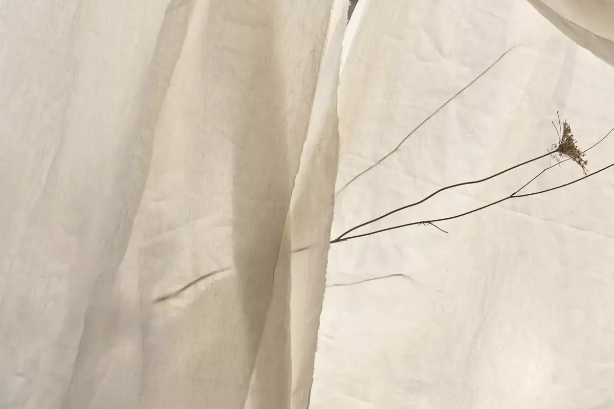 Paños de lino crudo superpuestos y a contraluz, con una rama seca de umbela delante.