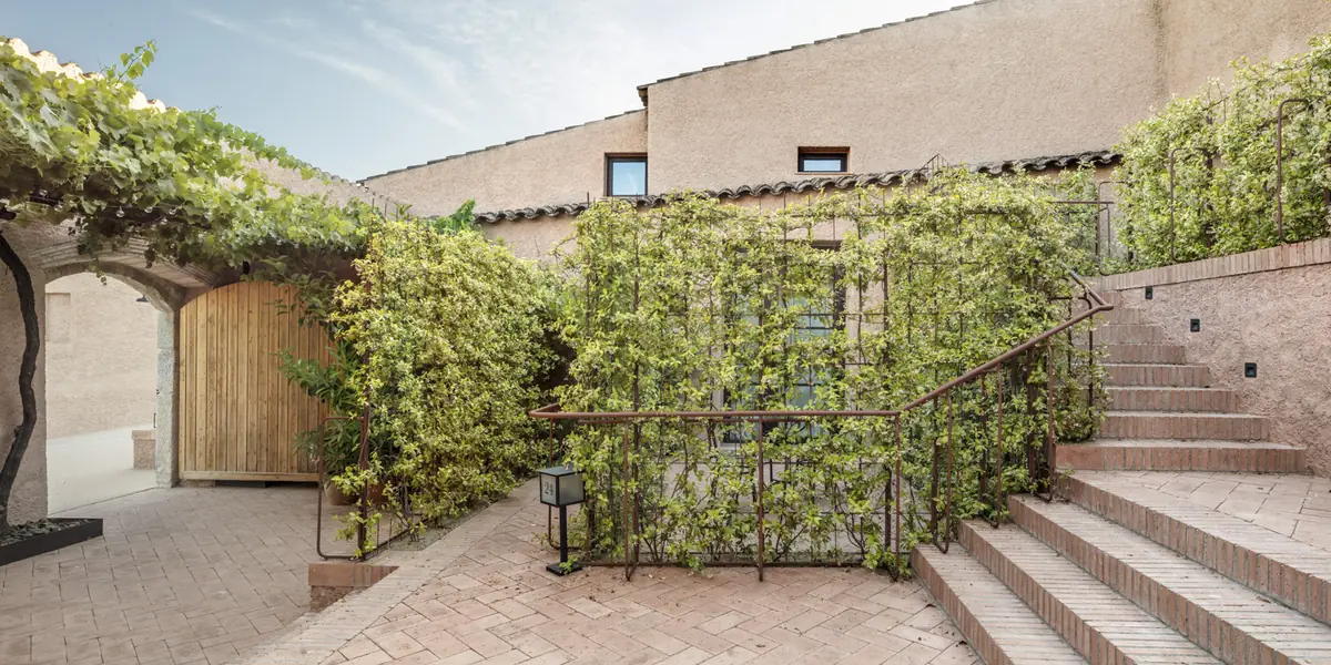 Patio de acceso con escaleras de ladrillo, barandillas metálicas y celosías cubiertas de vegetación