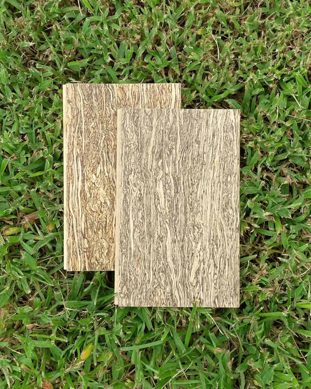 Two HempWood samples with a fibrous grain resting on grass