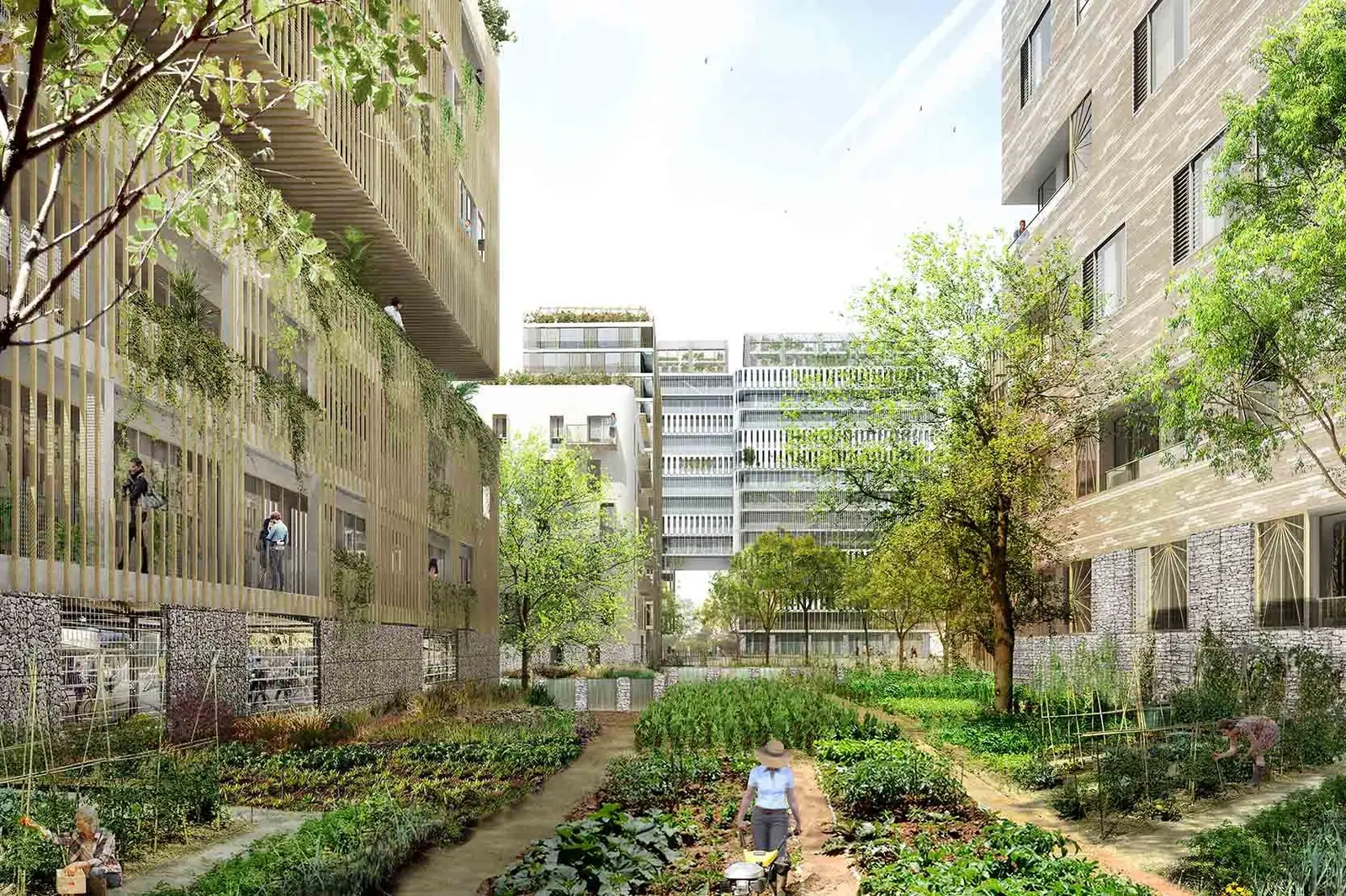 WORKFLOWS PROJECT – Agrocité – Archikubik