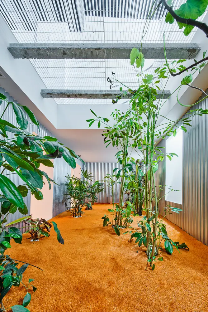 Interior courtyard with orange turf, tropical plants and corrugated sheet-metal walls beneath a grille roof