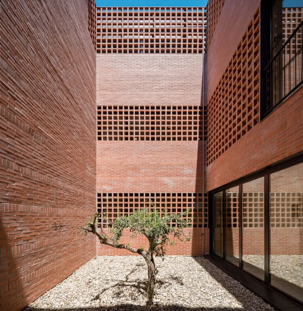 Courtyard with an olive tree between fair-faced brick walls and horizontal bands of ceramic latticework