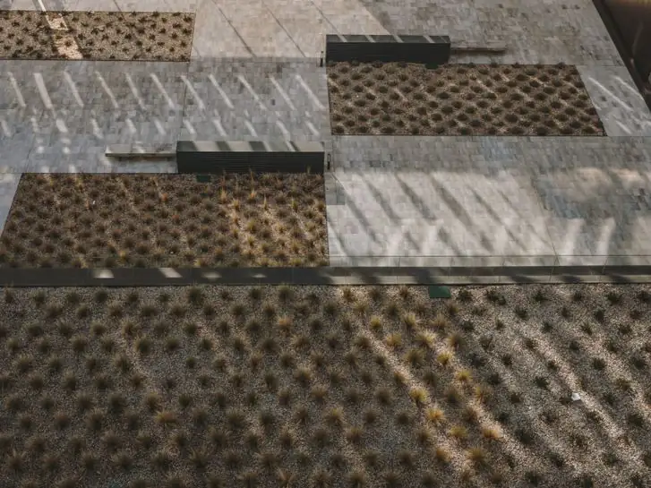 Overhead view of beds of ornamental grasses and stone paving in the courtyard