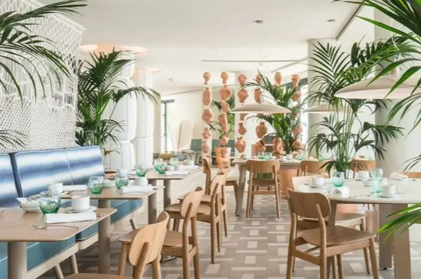 Restaurant with timber tables, upholstered benches, palms and a screen of terracotta pots