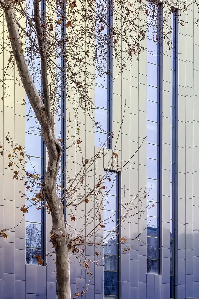 Detalle de la fachada de paneles plateados y azulados con ventanas verticales tras un plátano
