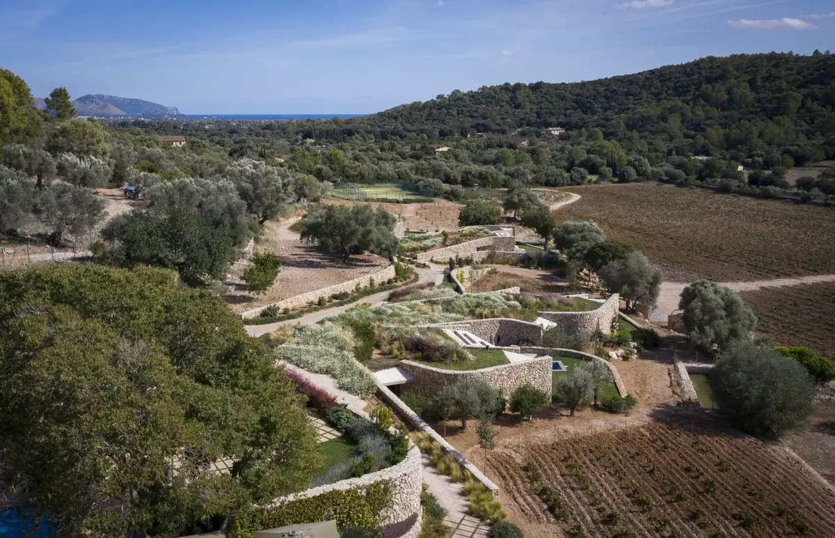 Aerial view of the villas stepping down between terraces, olive trees and vineyards