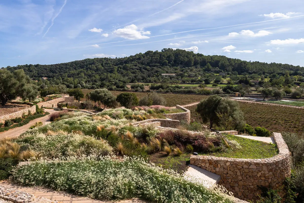 Planted roofs of the villas with curved stone walls and vineyards in the background