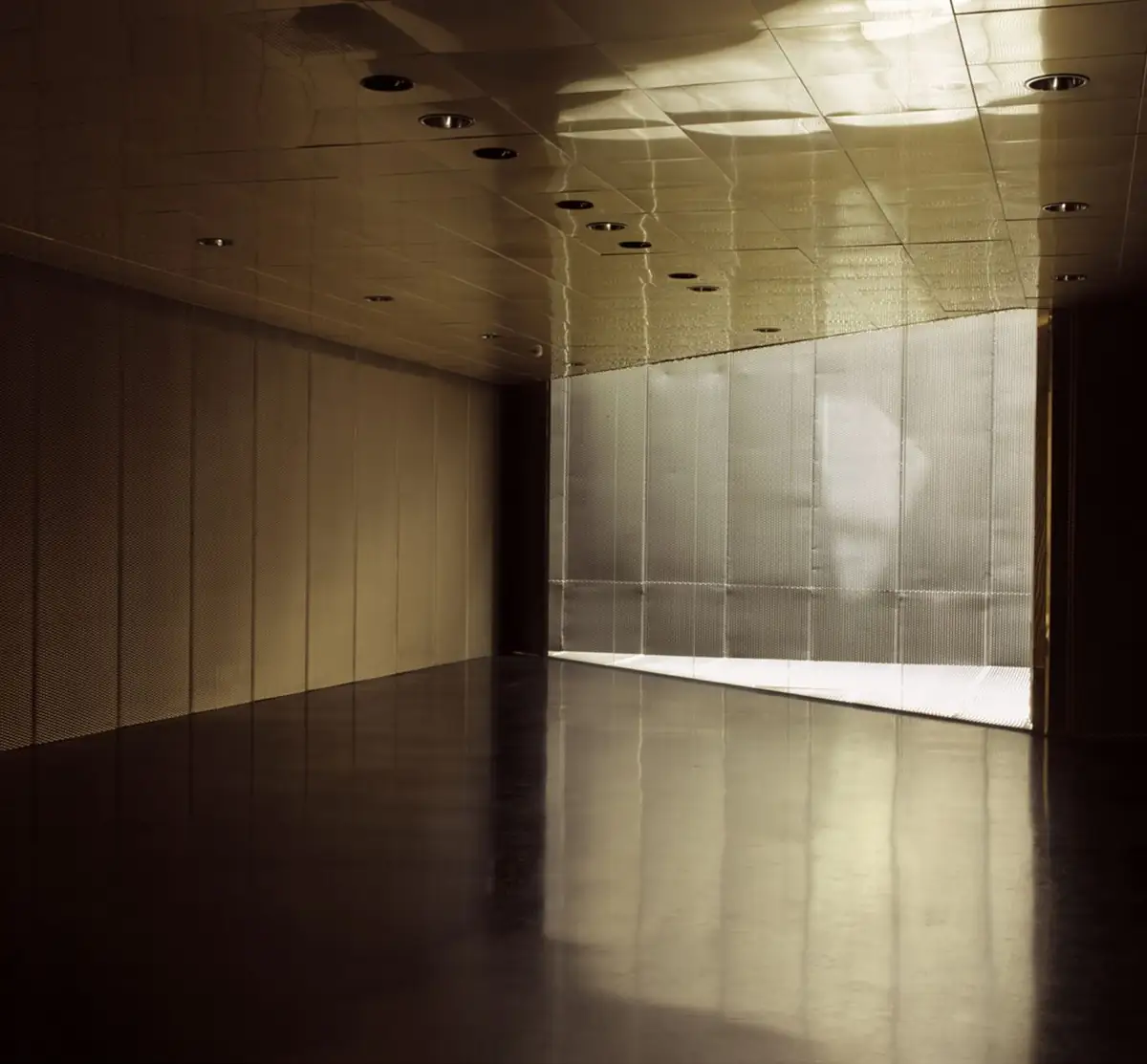 Interior room with a gold metal ceiling, mesh wall linings and a glossy floor