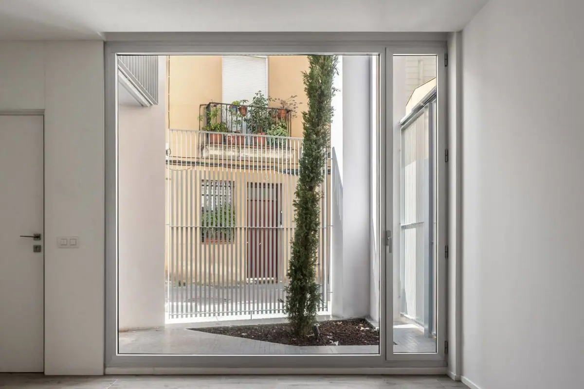 Floor-to-ceiling window of a dwelling looking onto a courtyard with a cypress