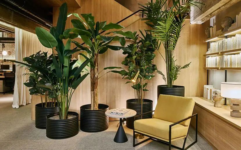 Rincón de espera con plantas tropicales en macetas negras, butaca amarilla y estantería iluminada