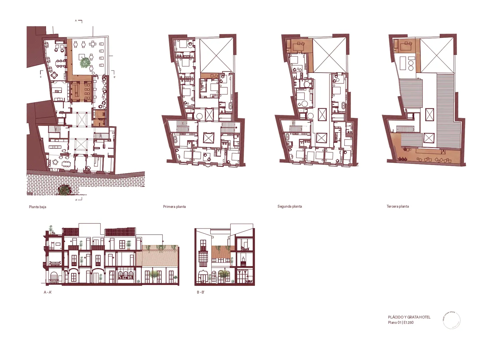 Drawings: Hotel Plácido y Grata